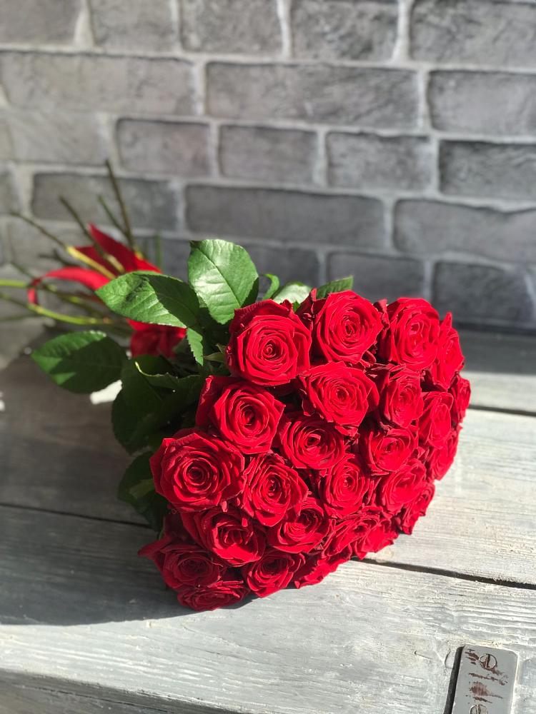 Букет Красные розы Фридом в Синих Липягах