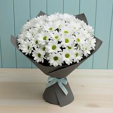Букет цветов из:  Хризантемы #REPLACE_PRED# Синих Липягах